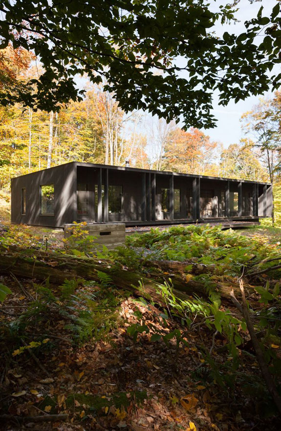 Дом органично вписывается в лесной пейзаж.
